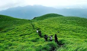 Wayanad landscape
